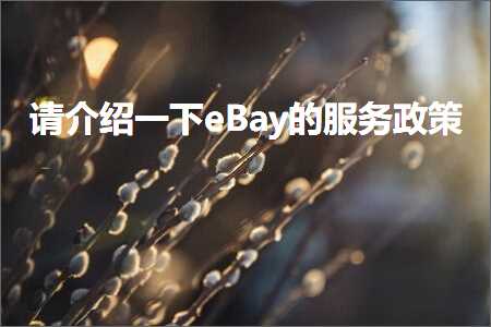 跨境电商知识:请介绍一下eBay的服务政策+